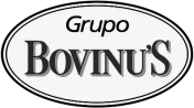 bovinus